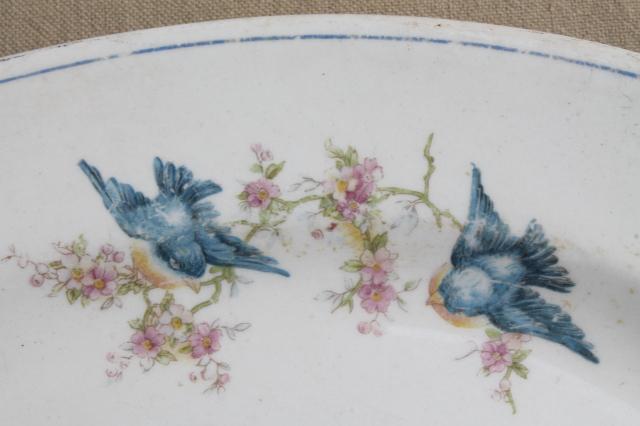photo of vintage bluebird china platter or tray, old antique National china blue bird pattern #4