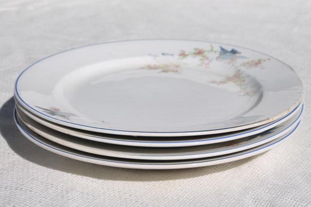 photo of vintage bluebird of happiness plates, antique dishes w/ Carrollton china mark #4