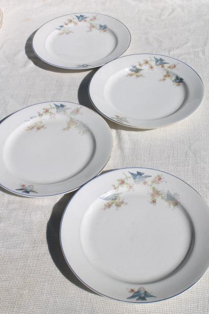 photo of vintage bluebird of happiness plates, antique dishes w/ Carrollton china mark #5