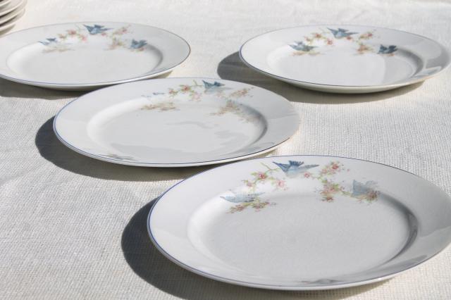 photo of vintage bluebird of happiness plates, antique dishes w/ Carrollton china mark #6
