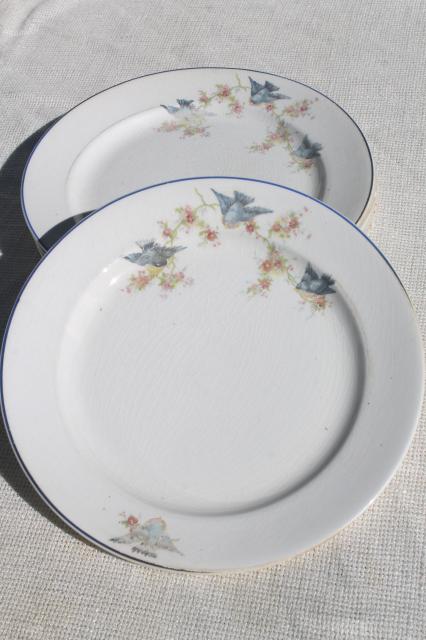 photo of vintage bluebird of happiness plates, antique dishes w/ Carrollton china mark #7
