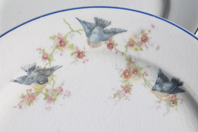 photo of vintage bluebird of happiness plates, antique dishes w/ Carrollton china mark #8