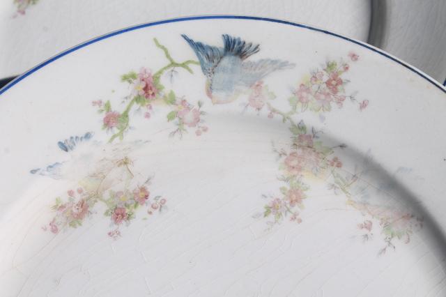 photo of vintage bluebird of happiness plates, antique dishes w/ Carrollton china mark #10