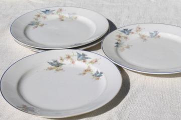 catalog photo of vintage bluebird of happiness plates, antique dishes w/ Carrollton china mark