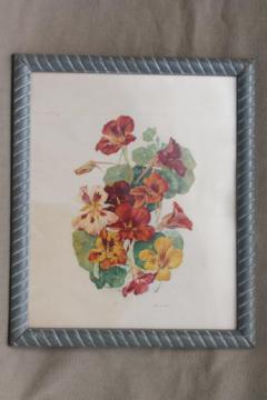 catalog photo of vintage botanical print, nasturtiums floral print framed in old wood frame