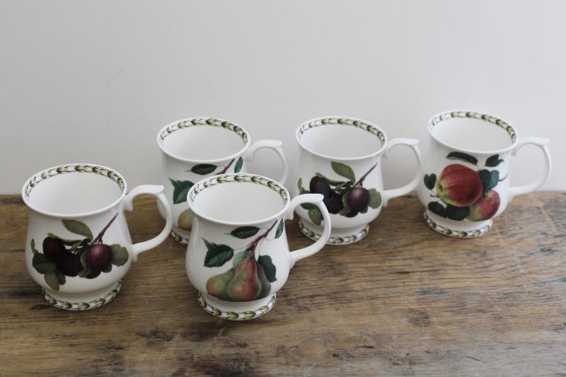 photo of vintage botanical prints mugs or large tea cups, Queen's fine bone china Hookers Fruit  #1