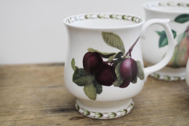 photo of vintage botanical prints mugs or large tea cups, Queen's fine bone china Hookers Fruit  #2