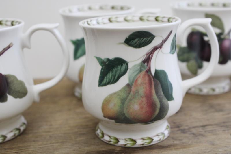 photo of vintage botanical prints mugs or large tea cups, Queen's fine bone china Hookers Fruit  #3