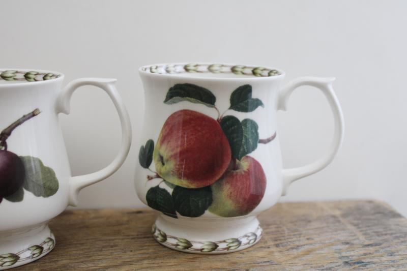 photo of vintage botanical prints mugs or large tea cups, Queen's fine bone china Hookers Fruit  #4