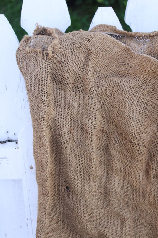 photo of vintage burlap bag potato sack w/ print graphics Hereford cattle Western Potatoes #6