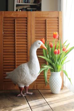 catalog photo of vintage ceramic goose w/ metal feet, large yard ornament lawn or porch decor garden goose statue