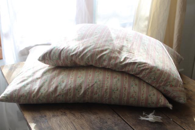 photo of vintage chicken feather pillows w/ pretty flowered cotton ticking fabric #1