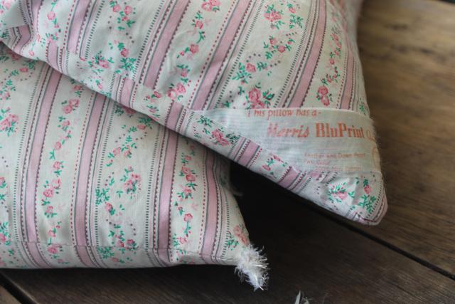 photo of vintage chicken feather pillows w/ pretty flowered cotton ticking fabric #2