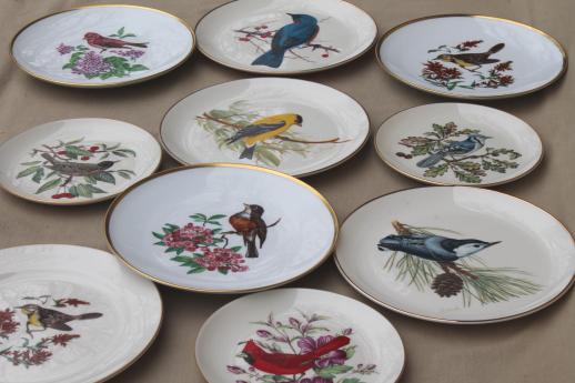 photo of vintage collector's plates w/ song birds, collection of assorted china bird plates #1