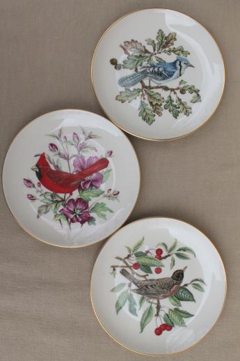 photo of vintage collector's plates w/ song birds, collection of assorted china bird plates #3