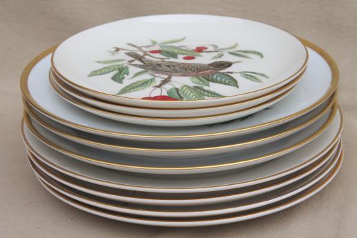 photo of vintage collector's plates w/ song birds, collection of assorted china bird plates #6
