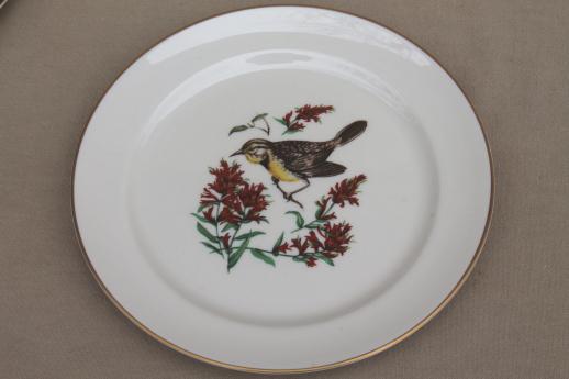 photo of vintage collector's plates w/ song birds, collection of assorted china bird plates #7