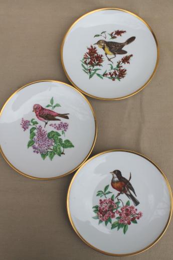 photo of vintage collector's plates w/ song birds, collection of assorted china bird plates #10