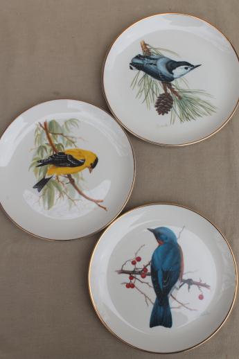 photo of vintage collector's plates w/ song birds, collection of assorted china bird plates #13