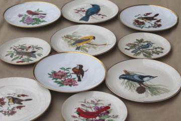 catalog photo of vintage collector's plates w/ song birds, collection of assorted china bird plates