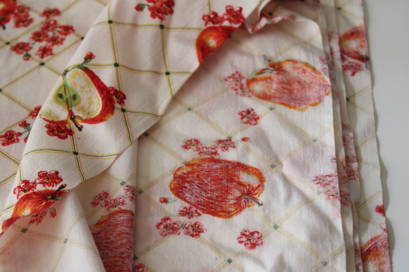 photo of vintage cotton fabric, red delicious apple print on checked background, cute country style #2