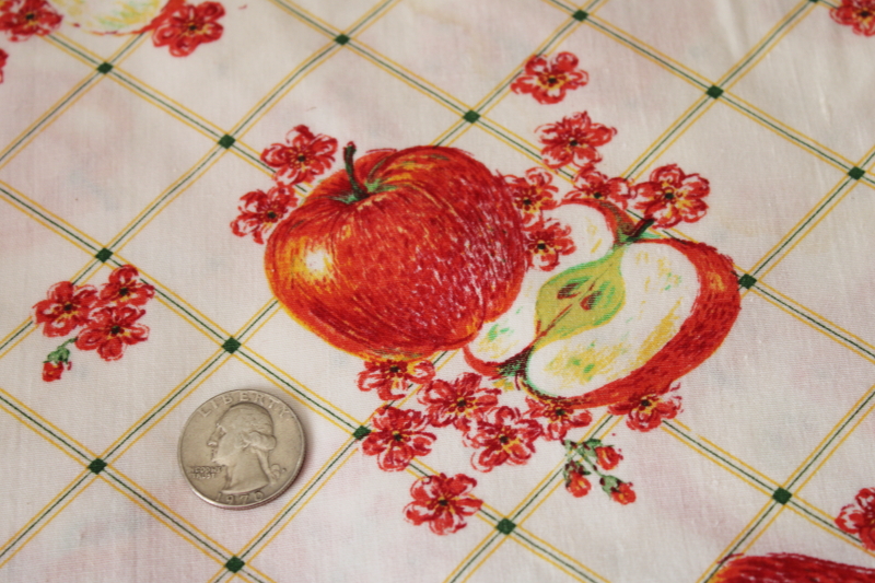 photo of vintage cotton fabric, red delicious apple print on checked background, cute country style #3