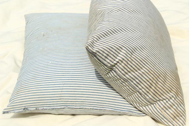 photo of vintage cotton ticking stripe pillows, large heavy feather filled bed pillows #5