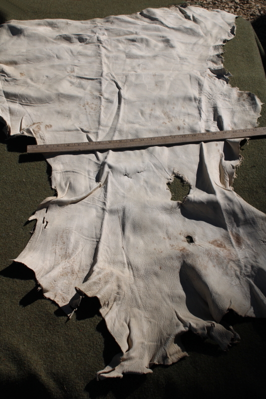 photo of vintage deer hides, tanned leather chamois color buckskin for gloves, moccasins, leatherworking #2
