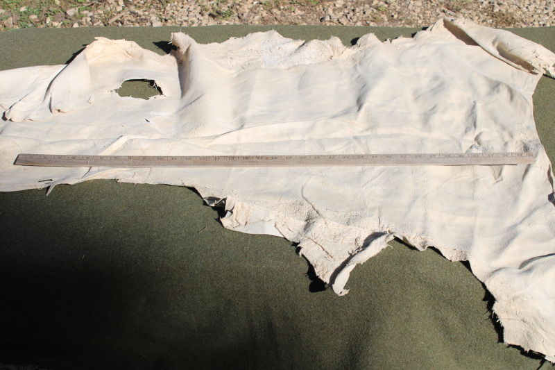 photo of vintage deer hides, tanned leather chamois color buckskin for gloves, moccasins, leatherworking #4