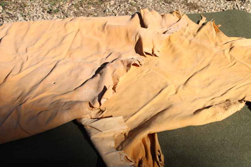 photo of vintage deer hides, tanned leather chamois color buckskin for gloves, moccasins, leatherworking #6