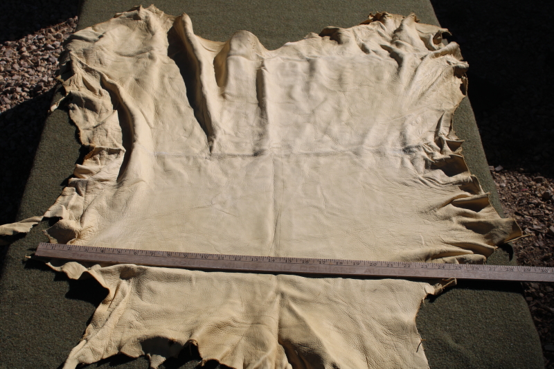 photo of vintage deer hides, tanned leather chamois color buckskin for gloves, moccasins, leatherworking #17