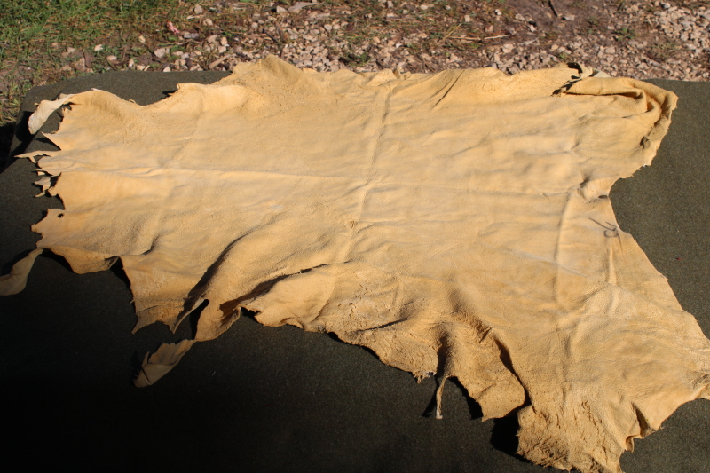 photo of vintage deer hides, tanned leather chamois color buckskin for gloves, moccasins, leatherworking #18