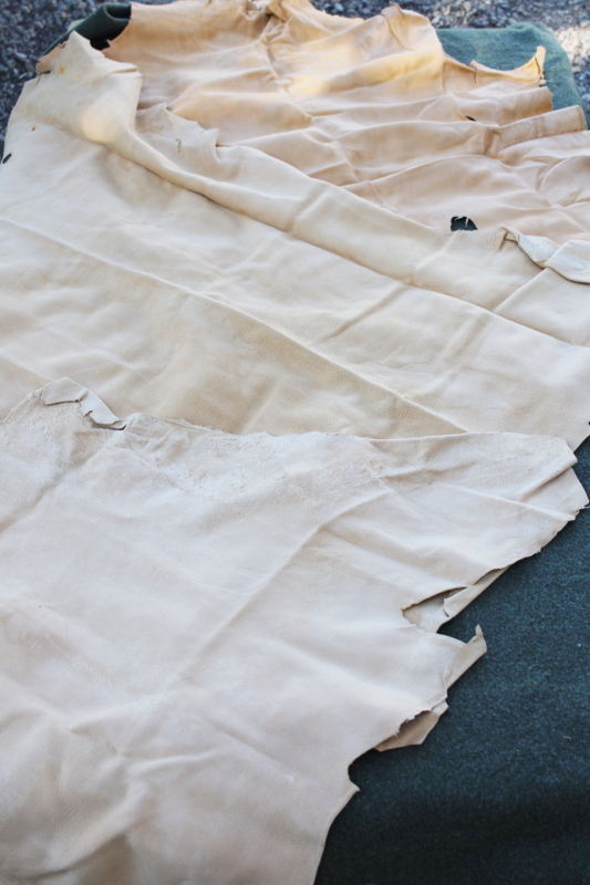 photo of vintage deer hides, tanned leather chamois color buckskin for gloves, moccasins, leatherworking #3