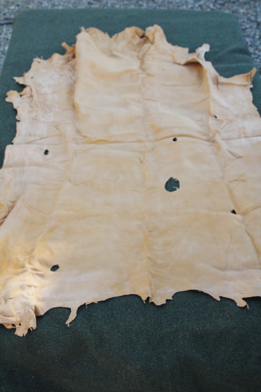 photo of vintage deer hides, tanned leather chamois color buckskin for gloves, moccasins, leatherworking #6