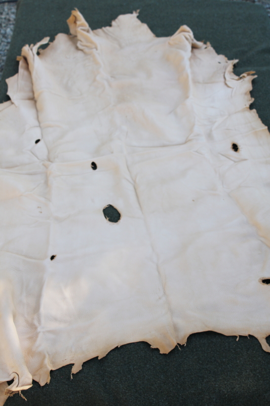photo of vintage deer hides, tanned leather chamois color buckskin for gloves, moccasins, leatherworking #7