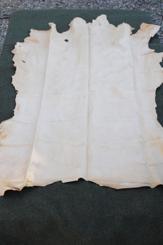 photo of vintage deer hides, tanned leather chamois color buckskin for gloves, moccasins, leatherworking #8