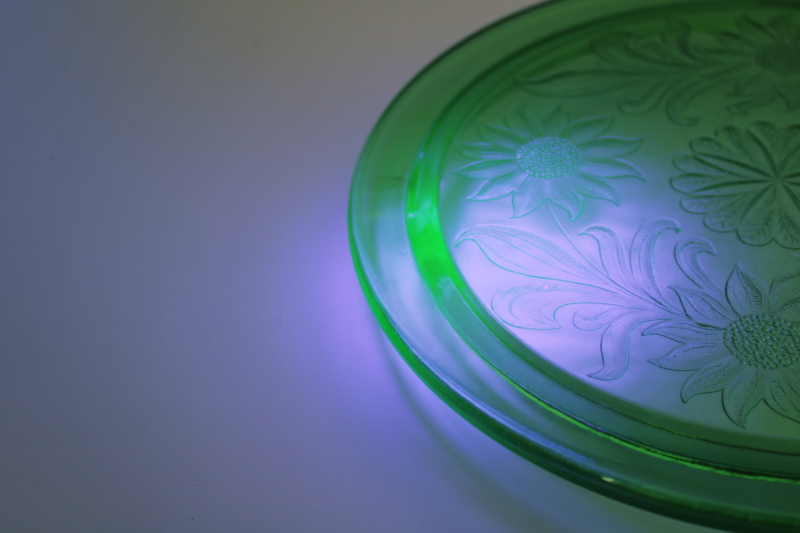 photo of vintage depression glass cake plate, Jeannette sunflower pattern deep green glass with uranium glow  #5