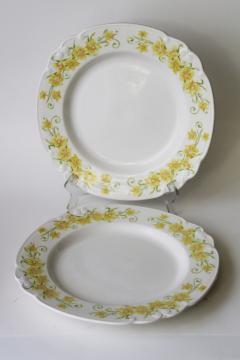 catalog photo of vintage dinner plates w/ yellow daffodils, Nikko Japan jonquil pattern spring flowers