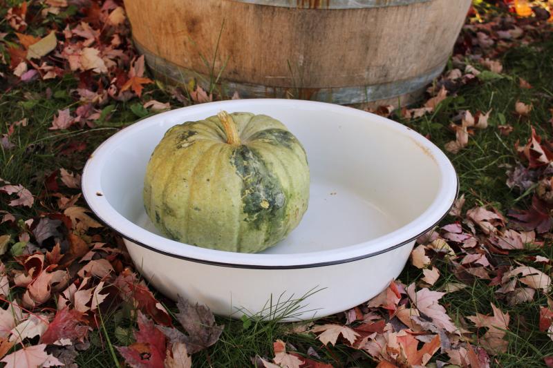 photo of vintage enamel dishpan, big round bowl or tub, farmhouse kitchen white enamelware #1