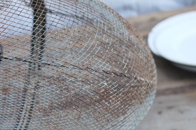 photo of vintage farmhouse primitive cloche, rusty wire basket horse muzzle w/ old ironstone plate or pie pan  #8