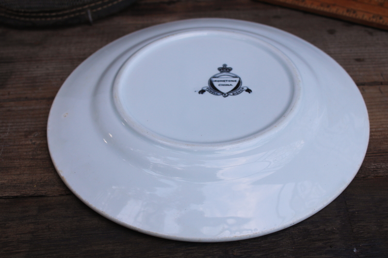 photo of vintage farmhouse primitive cloche, rusty wire basket horse muzzle w/ old ironstone plate or pie pan  #12