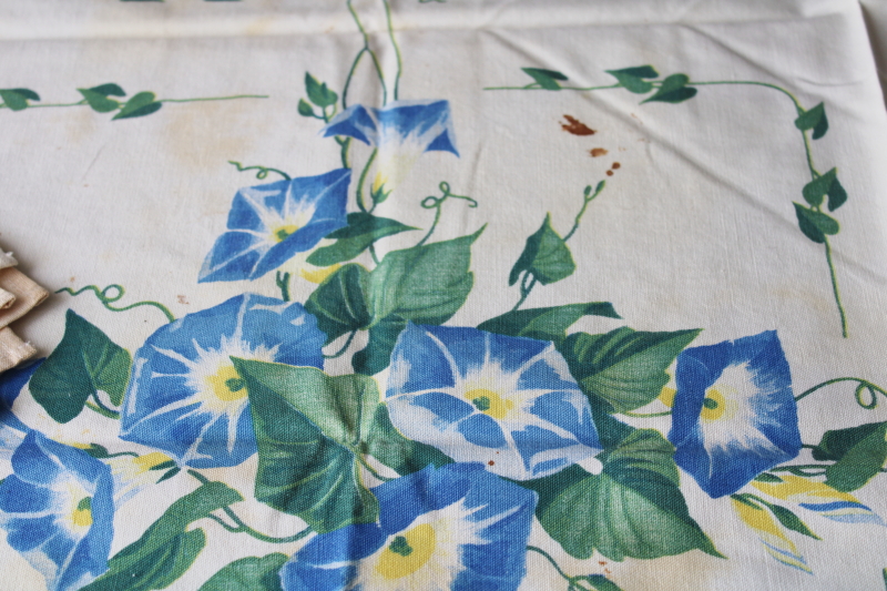 photo of vintage floral print cotton table linens, kitchen tablecloth & napkins shabby morning glories #2