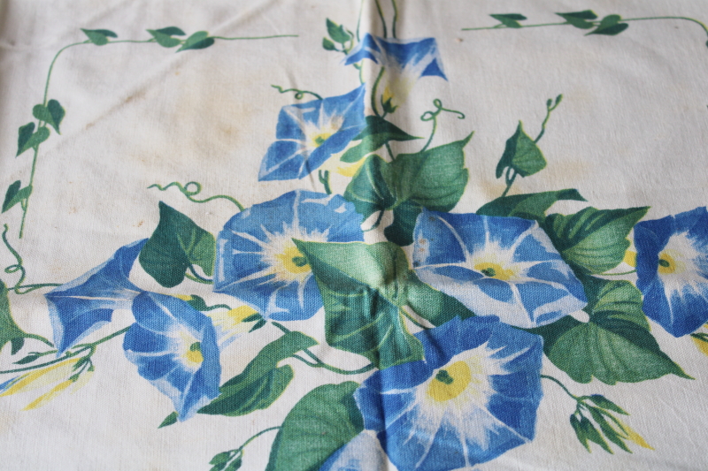 photo of vintage floral print cotton table linens, kitchen tablecloth & napkins shabby morning glories #3