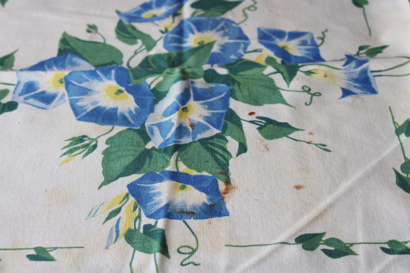 photo of vintage floral print cotton table linens, kitchen tablecloth & napkins shabby morning glories #4