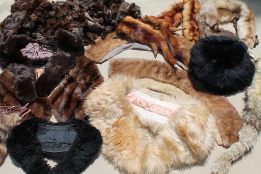 photo of vintage fur collars, weasel pelts, raccoon tails etc, lot for mountain man rendezvous or indian crafts #1