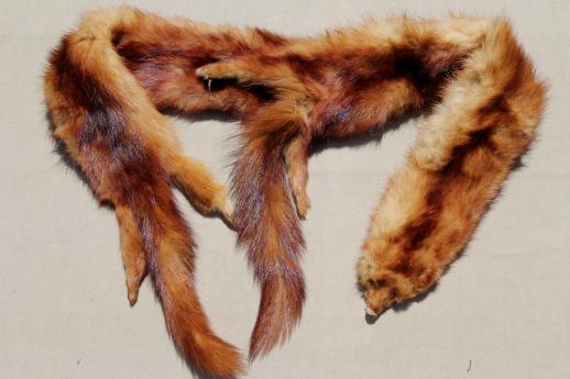 photo of vintage fur collars, weasel pelts, raccoon tails etc, lot for mountain man rendezvous or indian crafts #9