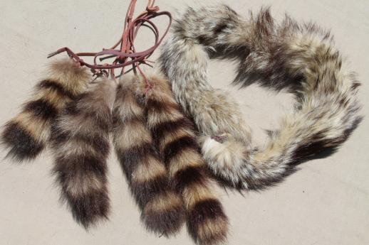 photo of vintage fur collars, weasel pelts, raccoon tails etc, lot for mountain man rendezvous or indian crafts #12