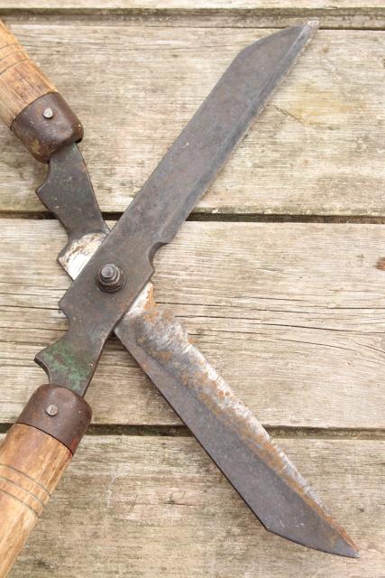 photo of vintage grass cutters garden shears, forged steel blades w/ hickory hardwood handles #4