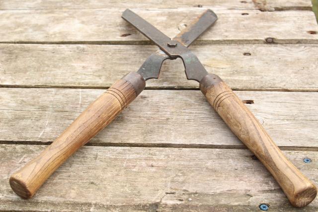 photo of vintage grass cutters garden shears, forged steel blades w/ hickory hardwood handles #7