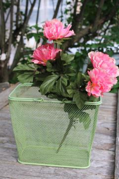 vintage green wire basket, french country style tote for wine bottles or flowers